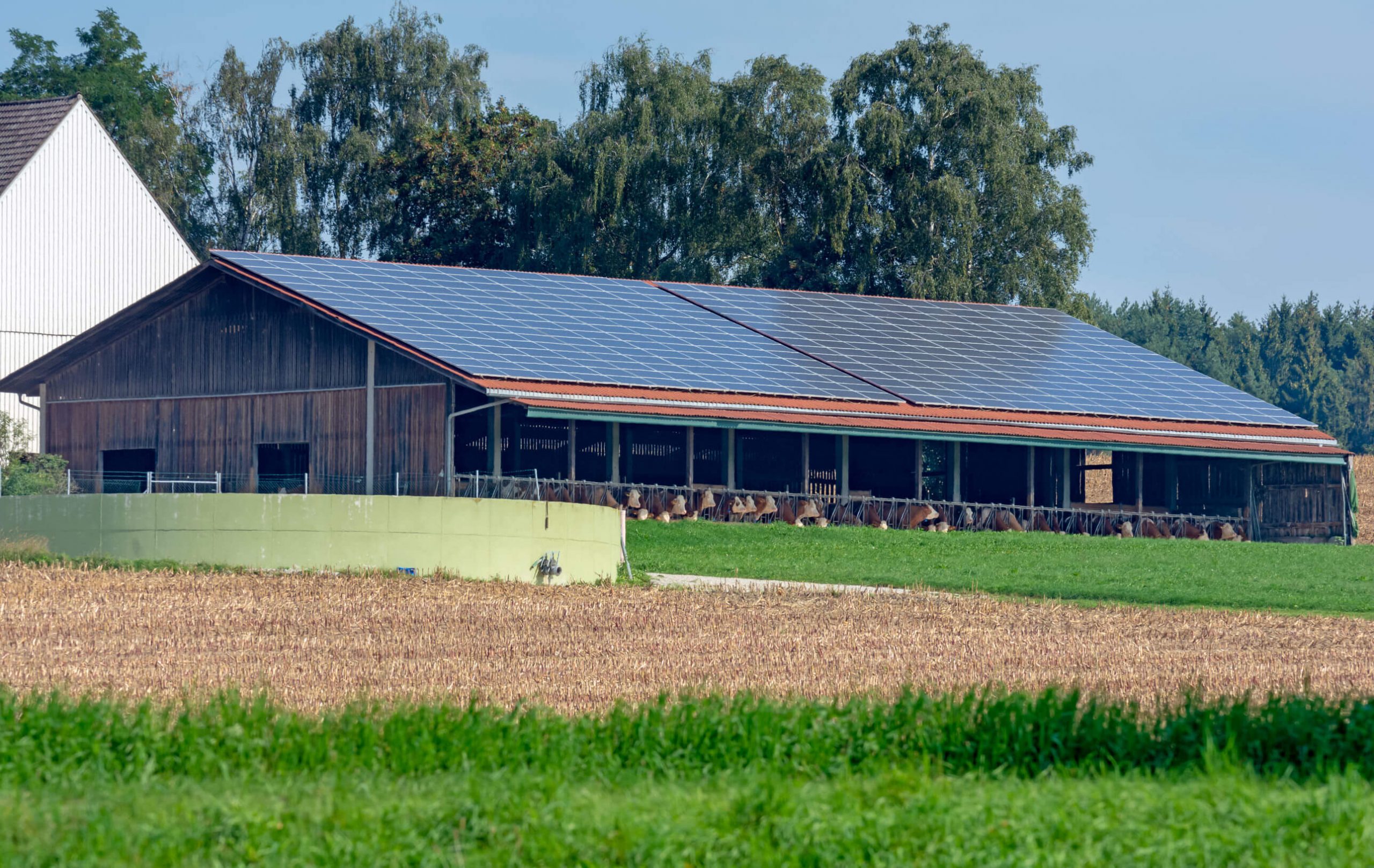 Tetőre telepített vállalati napelem